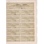 Standard-Nobel w Polsce, akcja V emisji na 100 akcji po 100 zł z 1936 r.