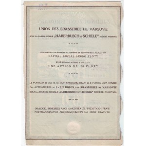 HABERBUSCH I SCHIELE, Zjednoczone Browary Warszawskie, 5 akcji na 500 zł.
