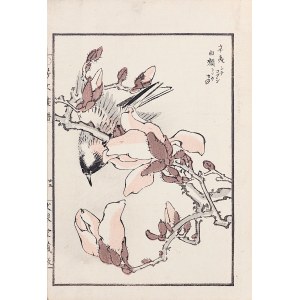 Kikuchi Hobun (1862-1918), Ptak na gałązce magnolii, Kioto, 1890 r.