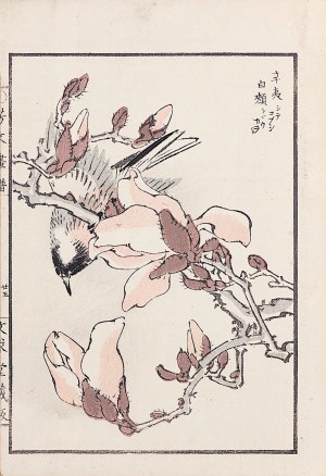 Kikuchi Hobun (1862-1918), Ptak na gałązce magnolii, Kioto, 1890 r.