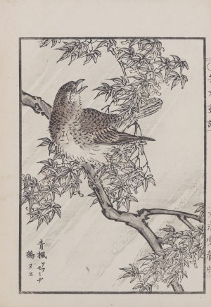 Kikuchi Hobun (1862-1918), Na gałęzi, Kioto, 1890 r.