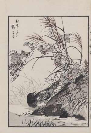 Kikuchi Hobun (1862-1918), Sroka, Kioto, 1890 r.