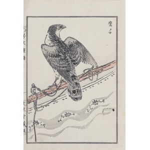 Kikuchi Hobun (1862-1918), Falcon, Kyoto, 1890.