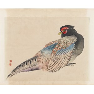 Kōno Bairei (1844-1895), published by Yamada Shinzaburo, Pheasant, Kyoto, 1913.