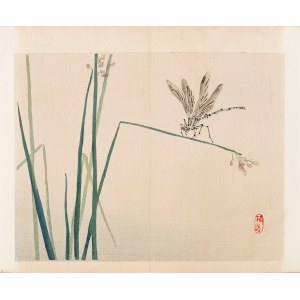 Kōno Bairei (1844-1895), published by Yamada Shinzaburo, Dragonfly, Kyoto, 1913.