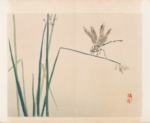 Kōno Bairei (1844-1895), wyd. Yamada Shinzaburo, Ważka, Kioto, 1913 r.