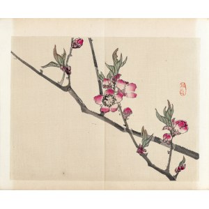 Kōno Bairei (1844-1895), wyd. Yamada Shinzaburo, Gałązka wiśni, Kioto, 1913 r.