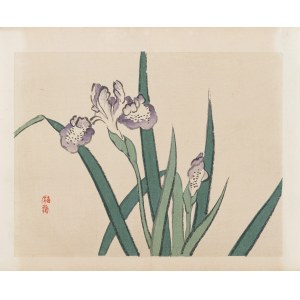 Kōno Bairei (1844-1895), published by Yamada Shinzaburo, Irises, Kyoto, 1913.