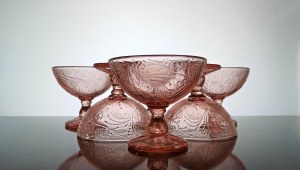 KASZMIR KIT OF PUCHARKS Eryka TRZEWIK DROST ZĄBKOWICE