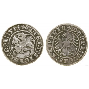 Polska, półgrosz, 1514, Wilno