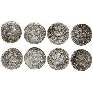 Polska, zestaw 4 x półgrosz, 1509, 1511, (15)12, (15)13, Wilno