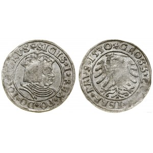 Polska, grosz, 1530, Toruń
