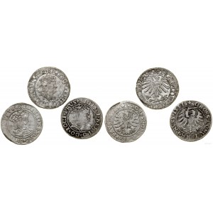 Polska, lot 3 x grosz, 1529, 1531, 1535, Toruń