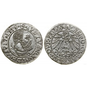Ducal Prussia (1525-1657), penny, 1538, Königsberg