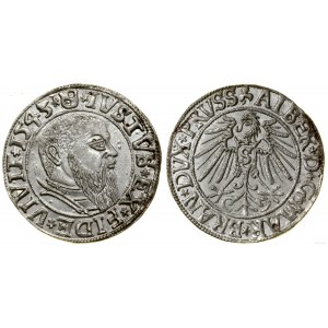 Ducal Prussia (1525-1657), penny, 1543, Königsberg