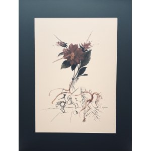 Salvador Dalí (1904-1989) Flordali: Dahlia