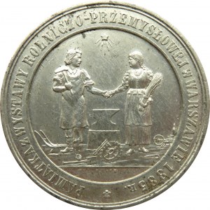 Polska, medal-pamiątka wystawy rolniczo-przemysłowej, Warszawa 1885, syg. F. Witkowski