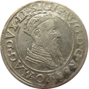 Zygmunt II August, czworak 1568, Wilno, podwójnie uderzony