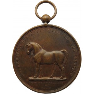 Francja/Belgia, medal nagrodowy za konia 1850 roku, 2 nagroda, syg. Jouvenel