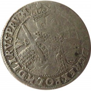 Zygmunt III Waza, ort 1623, Bydgoszcz, ozdobniki - gałązki R5!! rzadki