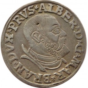Prusy Książęce, Albrecht, trojak 1537, Królewiec