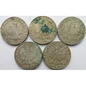 Polska, II RP, Żaglówka, 5 złotych 1936, lot 5 sztuk 