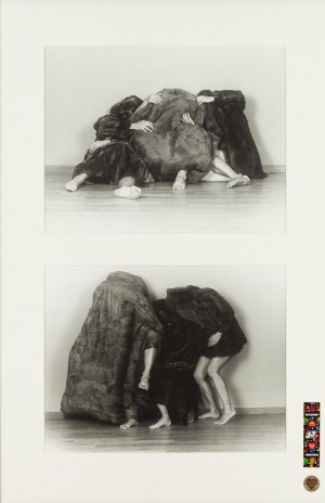Agata Zbylut (ur. 1974, Zgorzelec), Dyptyk fotograficzny z cyku 