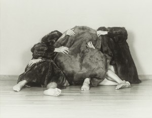 Agata Zbylut (ur. 1974, Zgorzelec), Dyptyk fotograficzny z cyku 