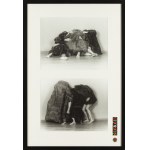 Agata Zbylut (ur. 1974, Zgorzelec), Dyptyk fotograficzny z cyku Dotknij tam, gdzie wstyd, 2024