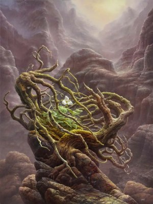 Tomasz Alen Kopera, F18