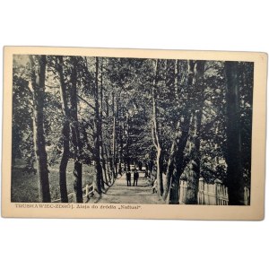 Postcard - Truskavets Zdroj - Alley to the source of the Naftusia, Issued by Jozef Sadowski's delicatessen trade