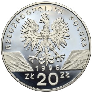 III RP, 20 zł 1996 rok, Jeż