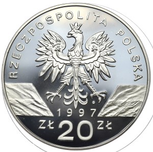Third Republic, 20 zloty 1997, Deer Hornbill