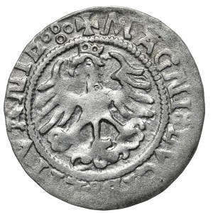 Zygmunt I Stary, półgrosz 1523, Wilno