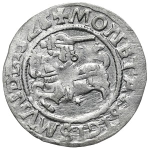 Zygmunt I Stary, półgrosz 1525, Wilno, rzadszy rocznik