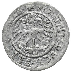 Zygmunt I Stary, półgrosz 1525, Wilno, rzadszy rocznik