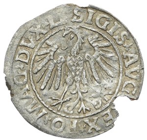 Sigismund II Augustus, Half-penny 1547, Vilnius - LI/LITVA, inverted N in 