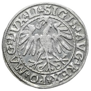 Zygmunt II August, Półgrosz 1547, Wilno - LI/LITVA