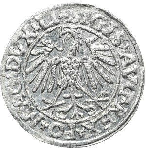 Sigismund II Augustus, Half-penny 1547, Vilnius - LI/LITVA