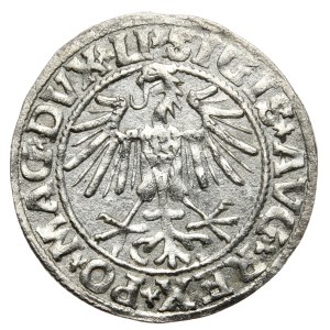 Zygmunt II August, Półgrosz 1549, Wilno - LI/LITVA