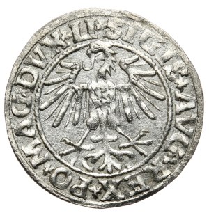 Sigismund II Augustus, Half-penny 1549, Vilnius - LI/LITVA