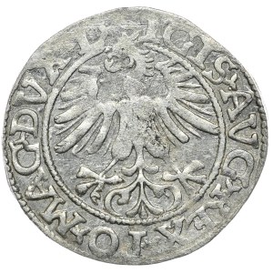 Zygmunt II August, półgrosz 1561, Wilno, L/LITVA