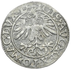 Sigismund II Augustus, half-penny 1561, Vilnius, L/LITVA