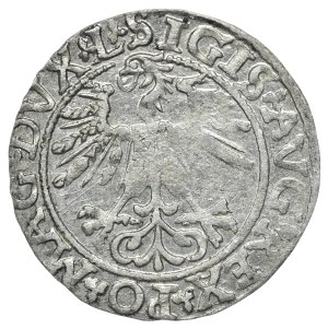 Sigismund II Augustus, Half-penny 1561, Vilnius - L/LITV