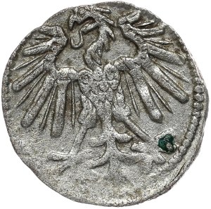 Sigismund II Augustus, denarius 1549, Vilnius, very rare vintage