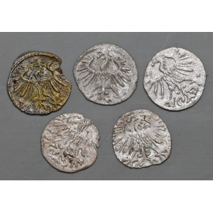 Zestaw 5 szt. denarów litewskich Zygmunta Augusta 1553-1558