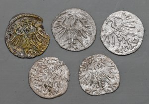 Set of 5 Lithuanian denarii of Sigismund Augustus 1553-1558.