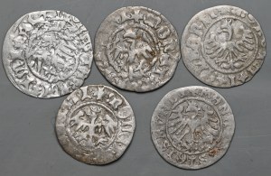 Set of 5 half-pennies from Casimir the Jagiellonian to Sigismund the Old.