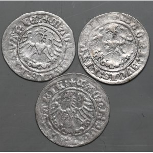 Set of 3 half-pennies 1513-1515, Vilnius