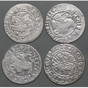 Set of 4 half-penny pieces from 1511, Vilnius including destructor